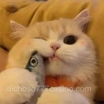 Avatar de Daniela Torres